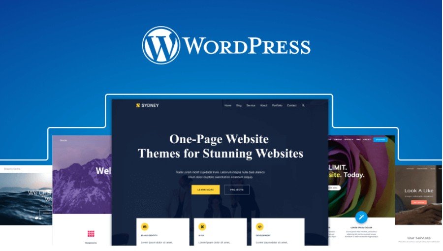 WordPress Website Development Tampa