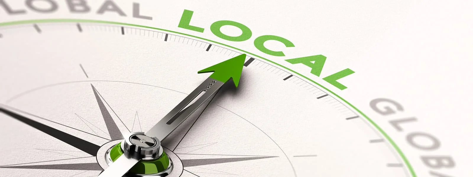 Local SEO Services for Tampa based businesses
