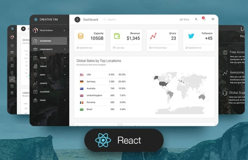 React Website Development in Tampa, Florida