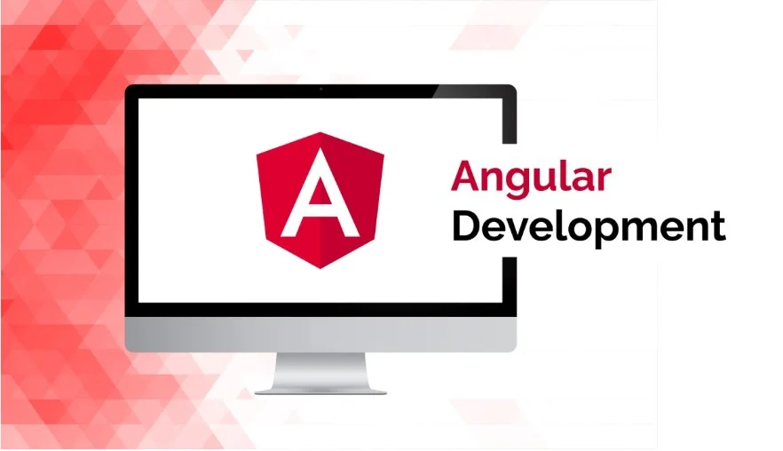 Angular Website Development in Tampa, Florida